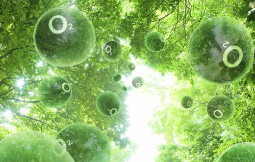 Artificial oxygen-enriched environment